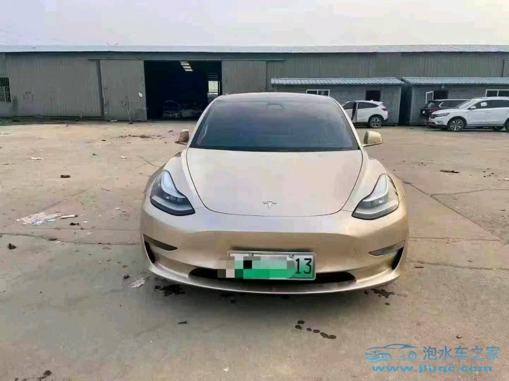 19年特斯拉MODEL 3泡水車(chē)