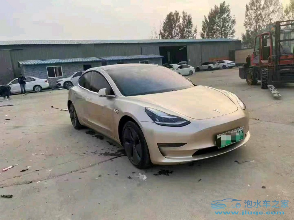 19年特斯拉MODEL 3
