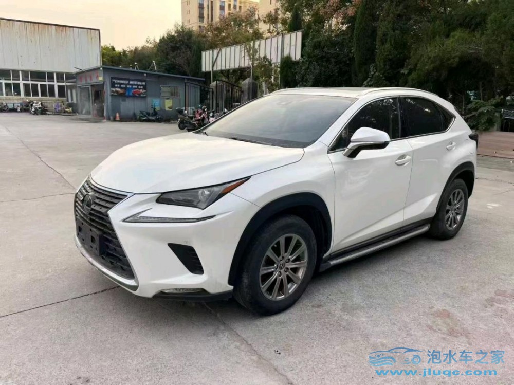 19年雷克薩斯NX