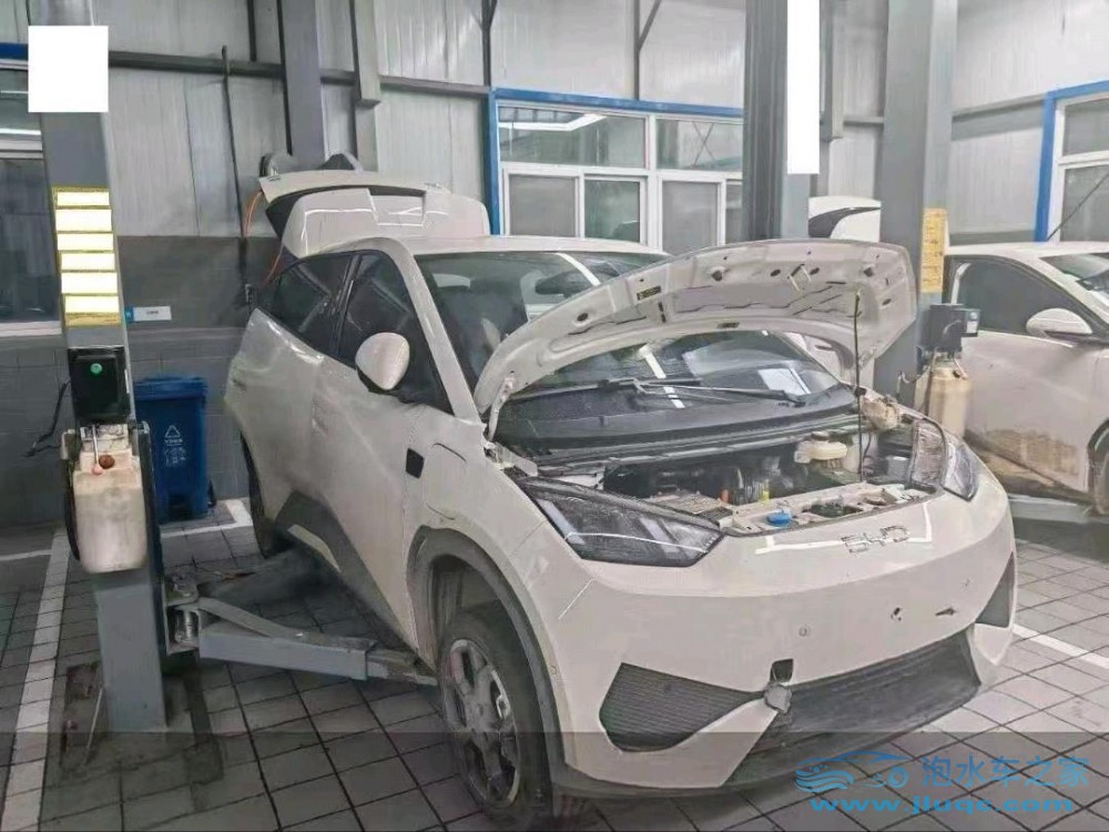 25年比亞迪海鷗