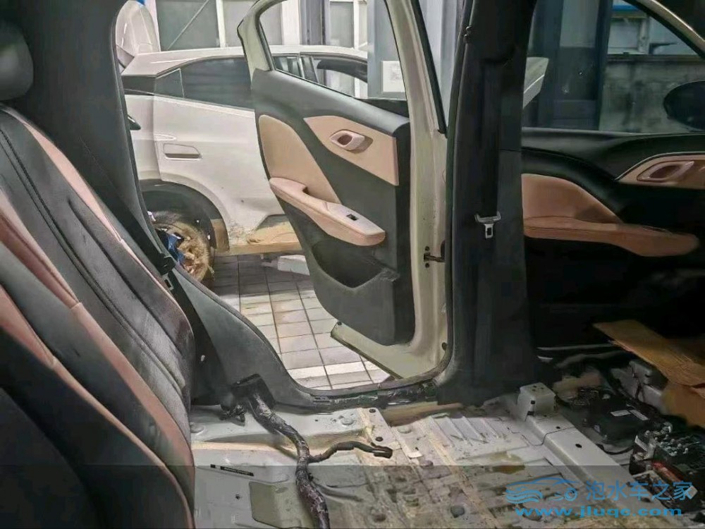 25年比亞迪海鷗