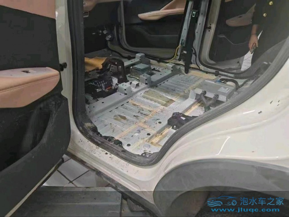 25年比亞迪海鷗