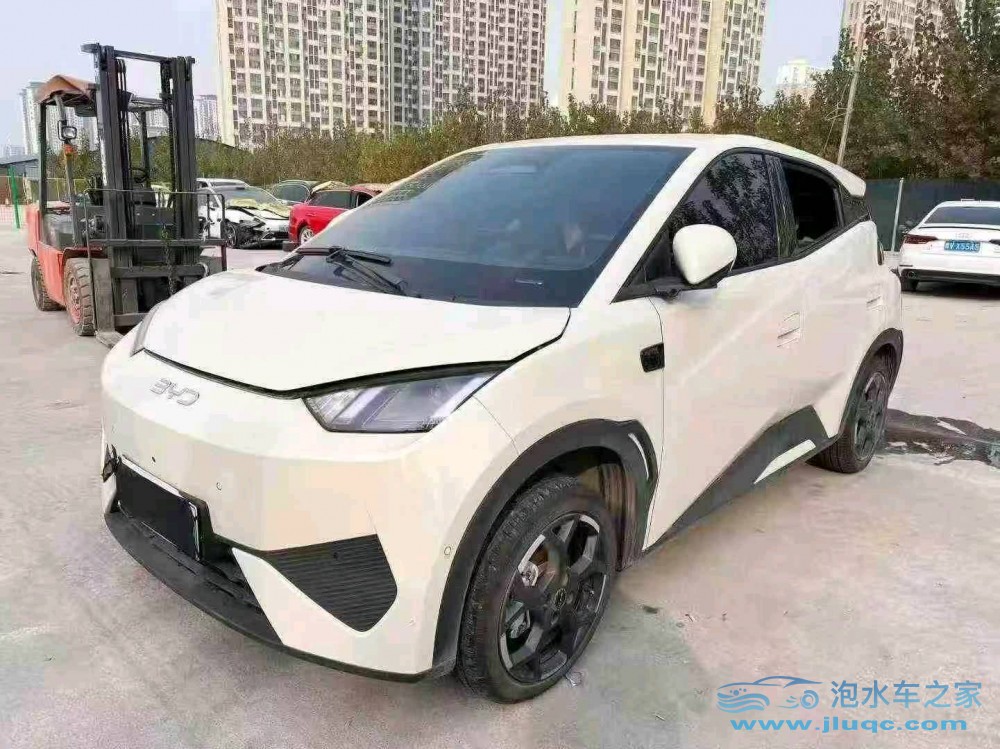 25年比亞迪海鷗