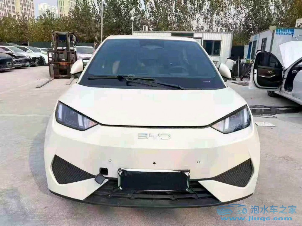 25年比亞迪海鷗泡水車