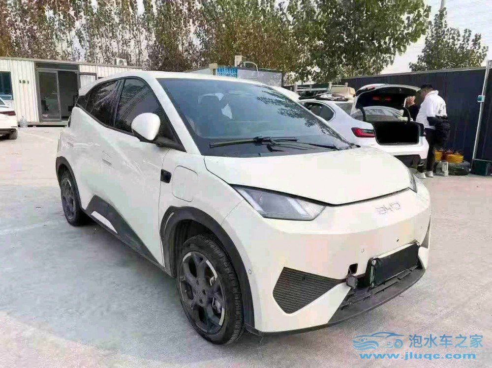 25年比亞迪海鷗