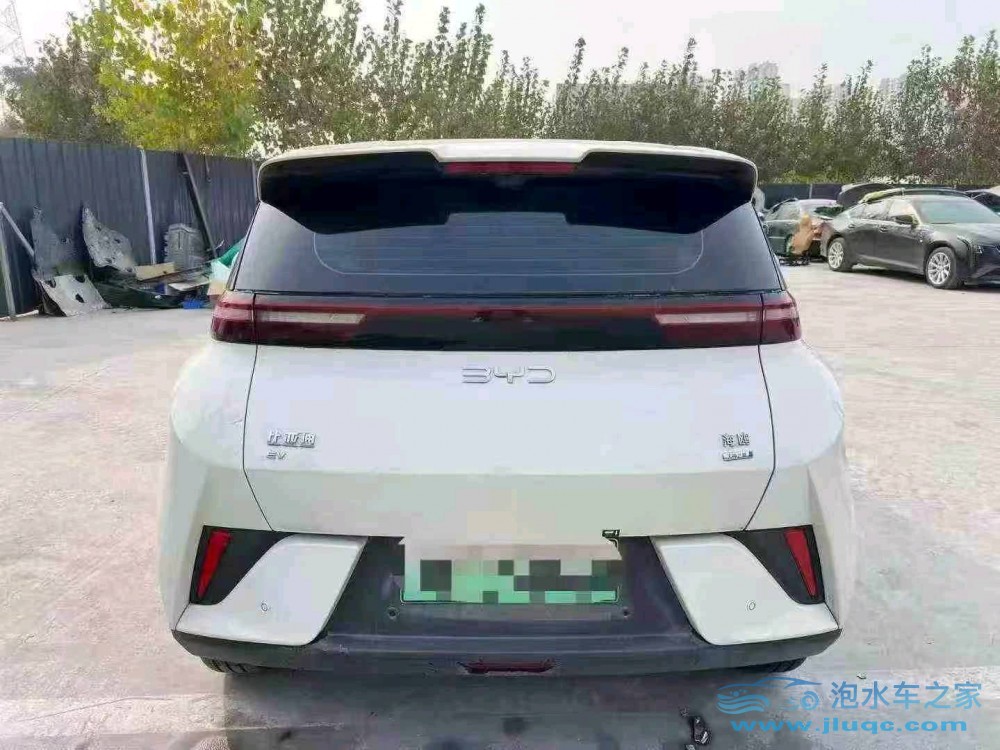 25年比亞迪海鷗