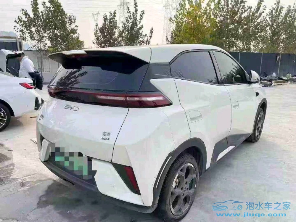 25年比亞迪海鷗