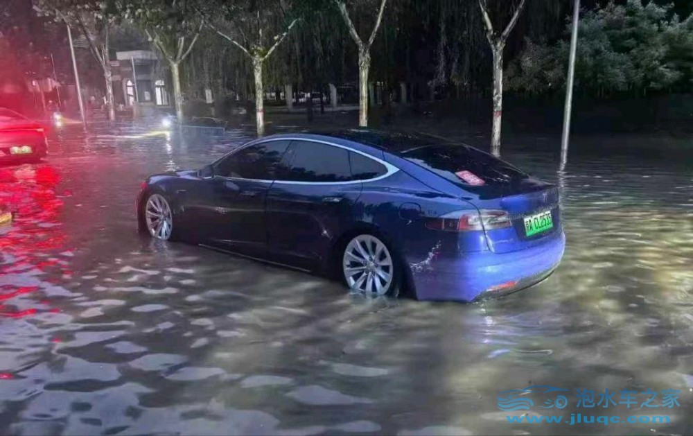 17年特斯拉MODEL S